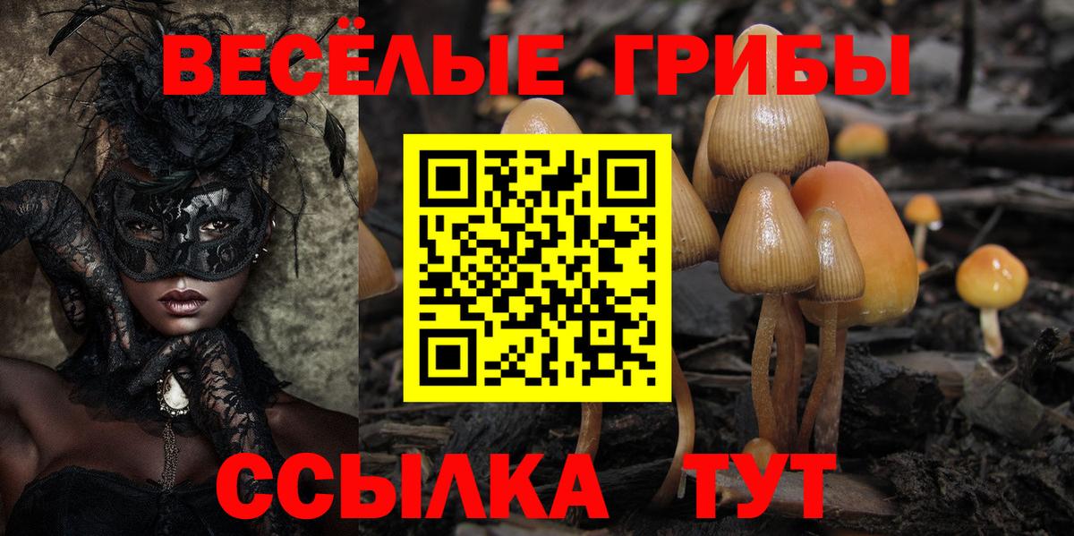 Псилоцибиновые грибы Psilocybe Дмитров