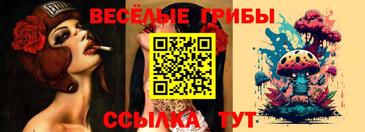 Дмитров  Галлюциногенные грибы GOLDEN TEACHER  Вход с VPN 